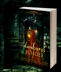 Darkness Echoes 3D Image of Book Cover Black